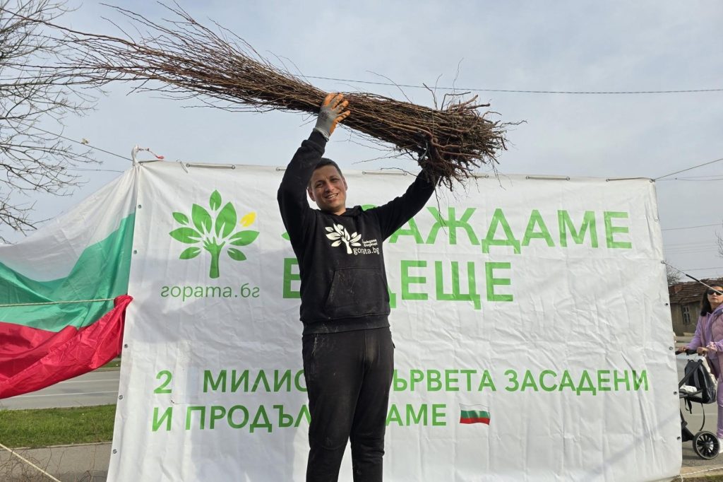От "Гората.бг" подаряват пред НДК 55 000 дръвчета за засаждане 10 гората.бг гората засаждане на дръвчета
