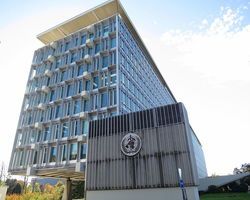 s 250 3fcdc103 85f7 4293 ad6c 3f3e33fa8a4b