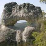 хищника