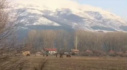 Кюстендил, коне, Андреа, кюстендилци