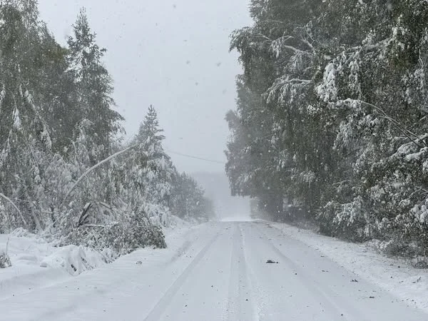 Сняг и проливни дъждове блокираха пътища в страната