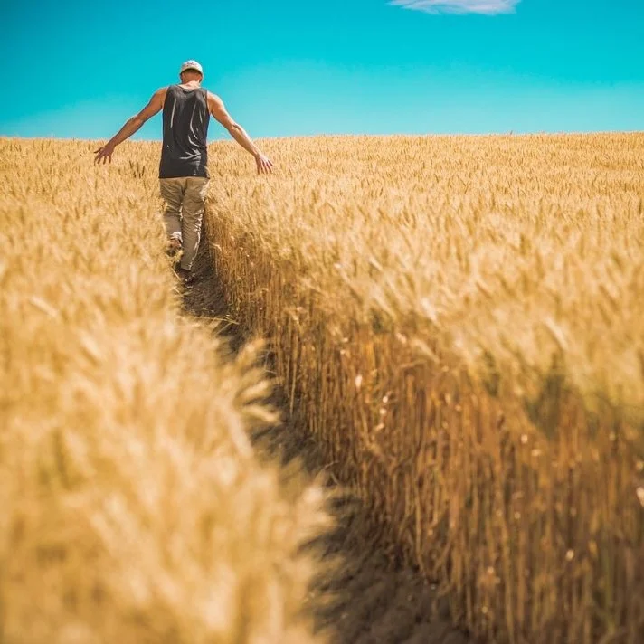 Земеделското министерство се гласи да обслужи големите арендатори 2 sobstvenik
