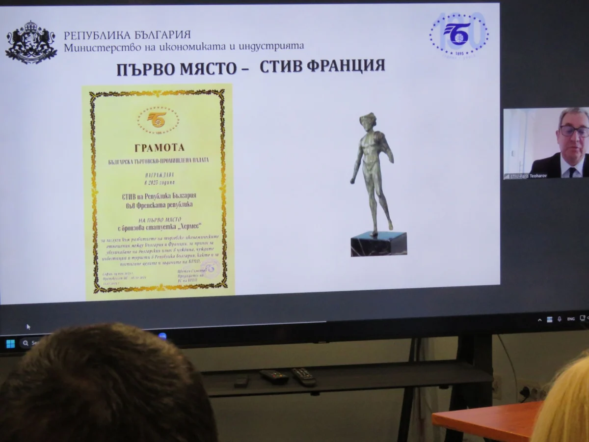 стив франция