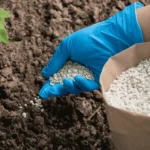 Русия ограничава износа на торове до 30 ноември, обмисля да облага мини и банки