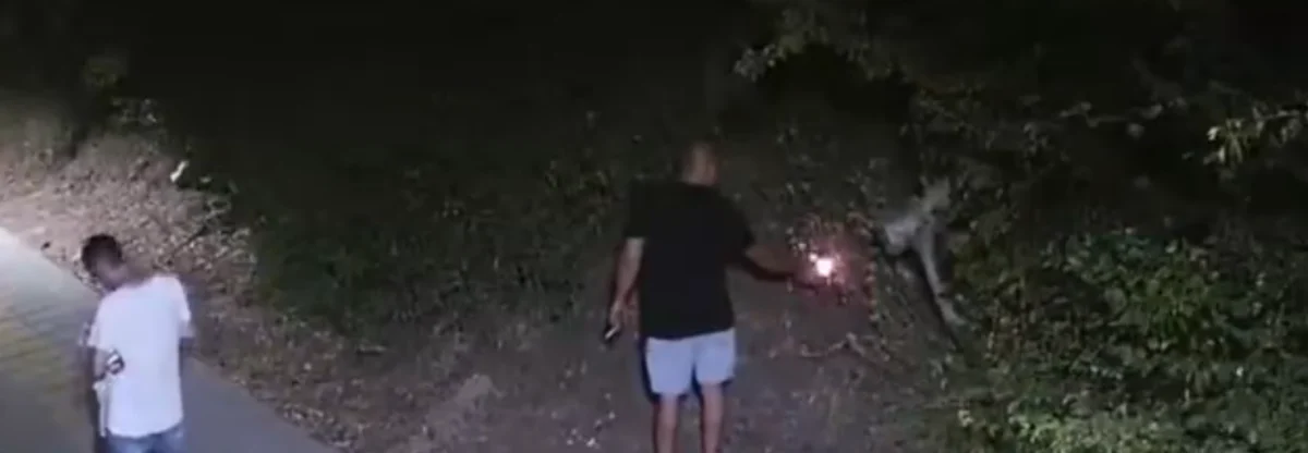 Подпалвачите на пожарите във Велико Търново и Сливен ще бъдат съдени за тероризъм