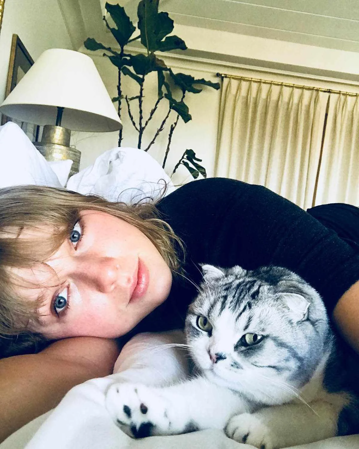 taylor swift cat 02 053125 34f512db027d4dbbab03b6e4b502aaaf
