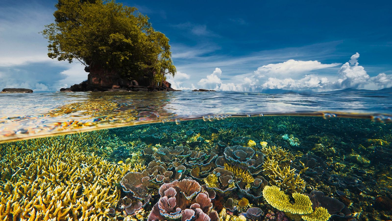 биологичното разнообразие