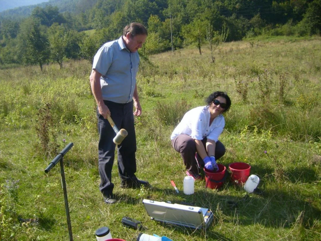 почвени замърсявания