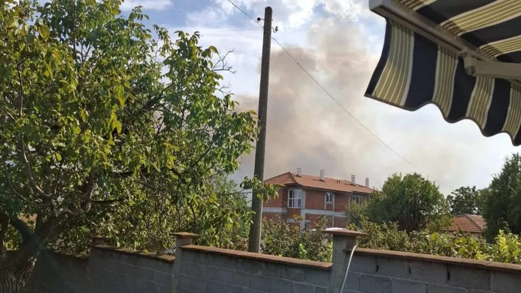 Голяма змия е предизвикала пожара край село Дълбоки 1 село Дълбоки, пожар