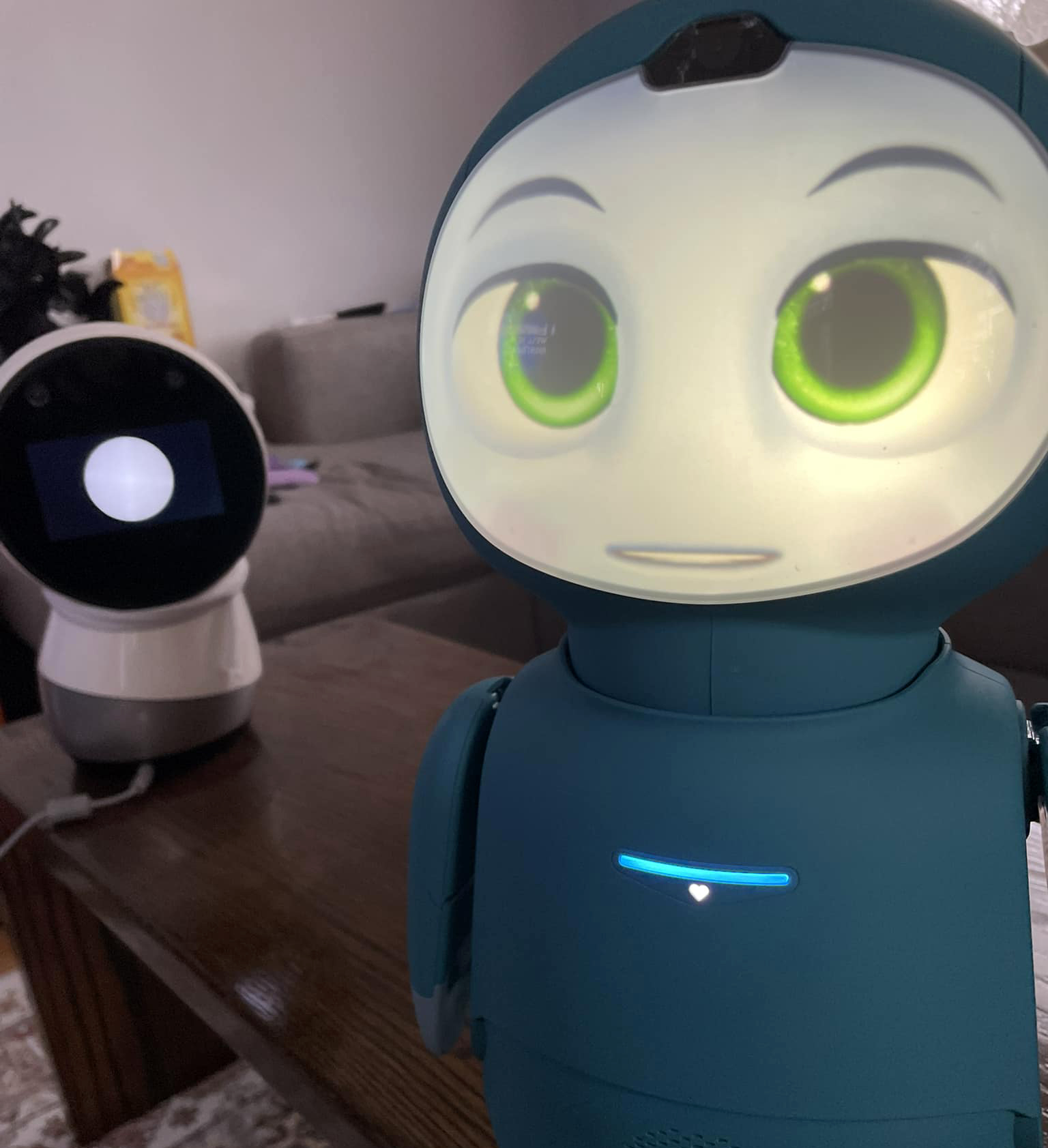 Инвеститорски интерес към роботите-компаньони с изкуствен интелект