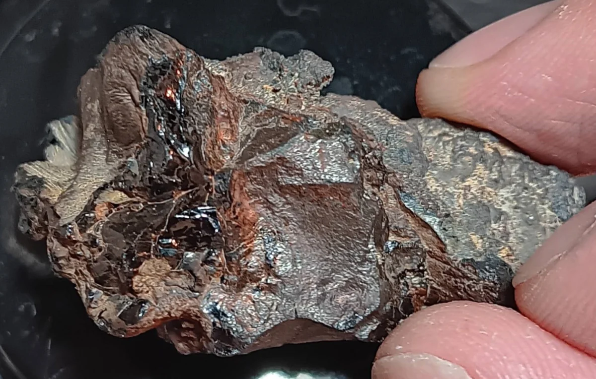 Critical Metals открива ключови редкоземни елементи и галий в Гренландия