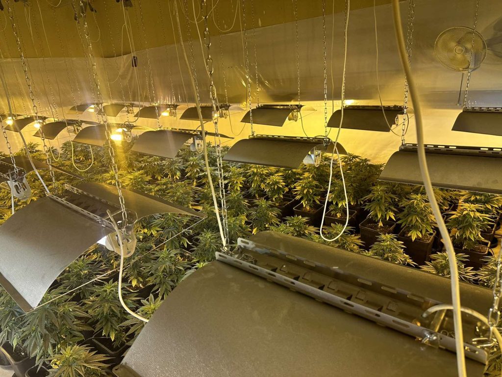 viber image 2024 01 11 19 50 58 800