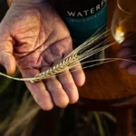 Американската TDG купува ирландската Waterford Distillery и инвестира в разрастване