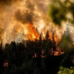 Щетите от горски пожари в Европа тази година вече са над 3 милиарда евро