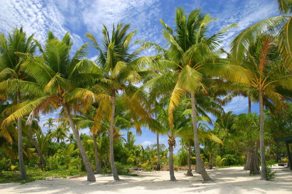 Островите Уитсъндей – къс от Рая, паднал на Земята 4 whitsunday islands raqt na zemqta 03