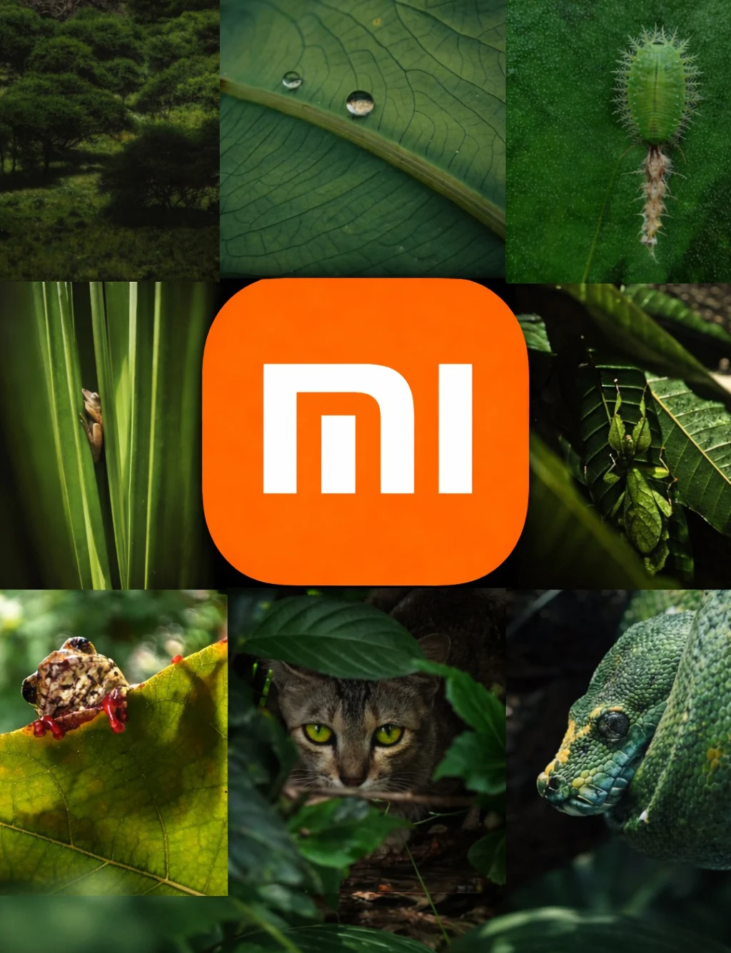 Xiaomi с по-ниски тримесечни приходи, но годишната печалба расте със 76 процента