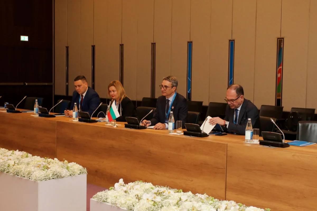 xii ta ministerska srestha na konsultativniya savet po yuzhniya gazov koridor trajcho trajkov.jpg