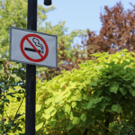 Франция забрани пушенето на автобусните спирки, плажовете, в парковете и около училищата