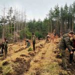 седмицата на гората