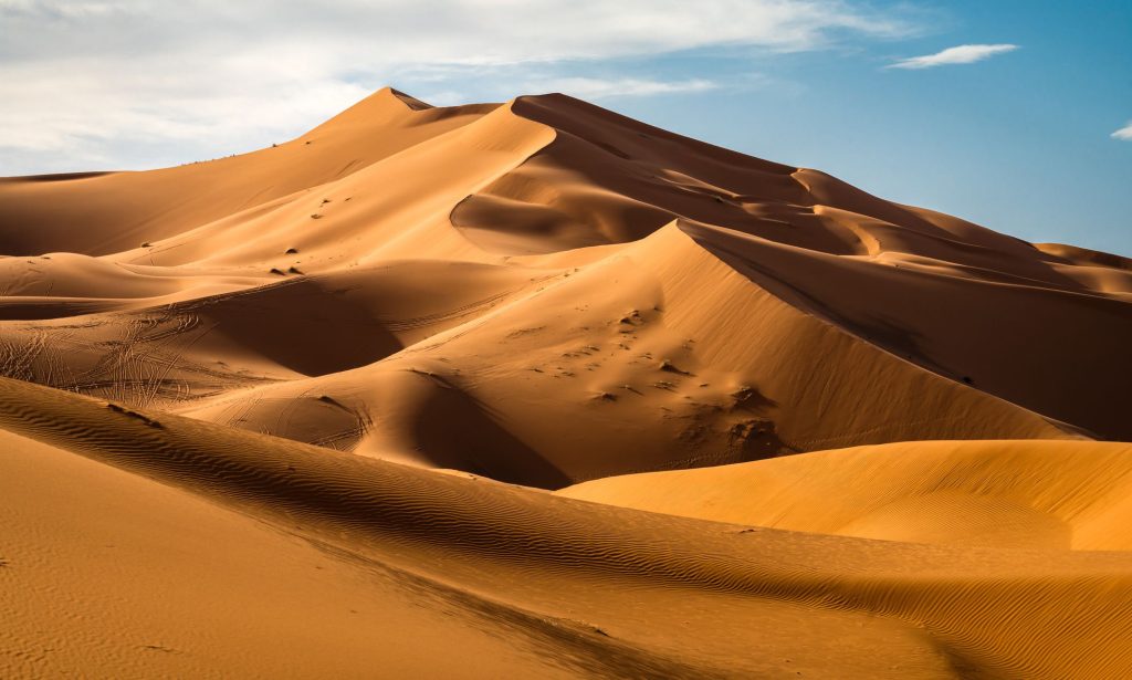 Изкуственият интелект открива нови археологически обекти в пустинята