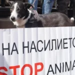 насилие