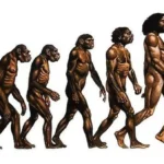 липсващо звено