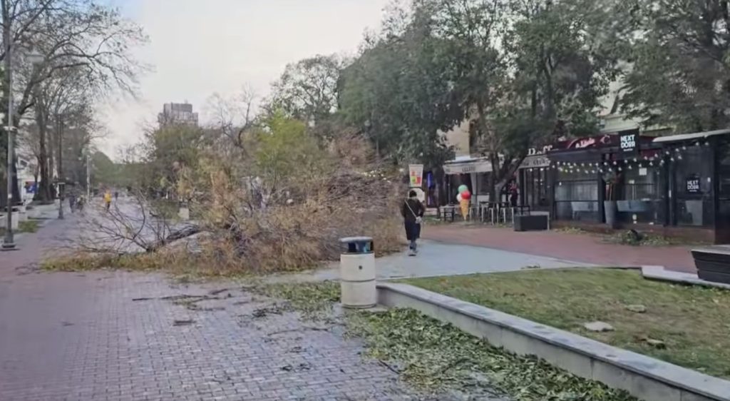Варна бедствено положение силен вятър
