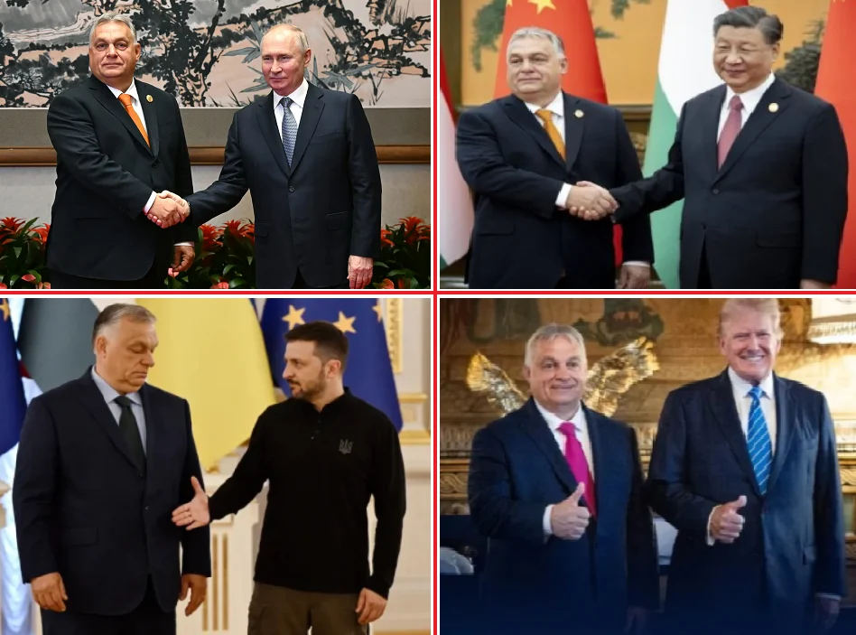 Брюксел