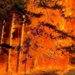 Пожарът в Пирин все още не е потушен