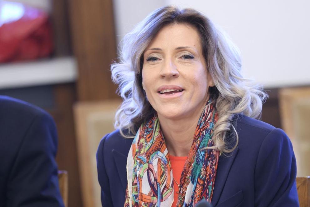 Цариградска