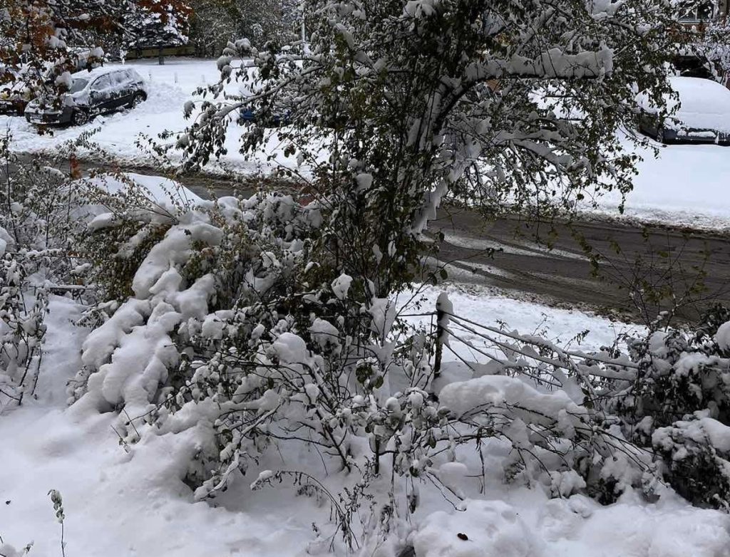 Заради снеговалежите усложнена остава обстановката на десетки места в страната